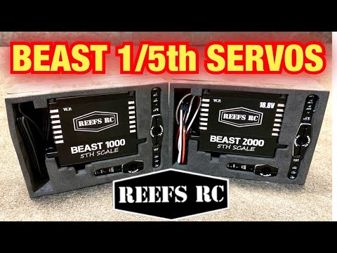 Beast 2000 1/5th Scale Servo