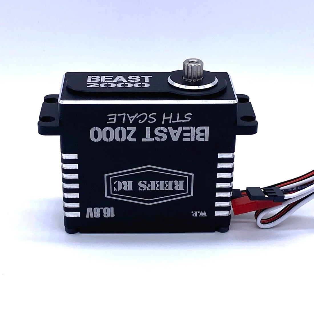 Beast 2000 1/5th Scale Servo